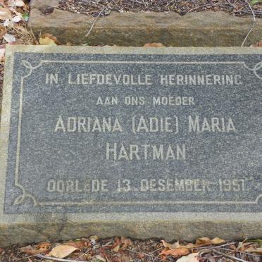 HARTMAN Adriana Maria -1951