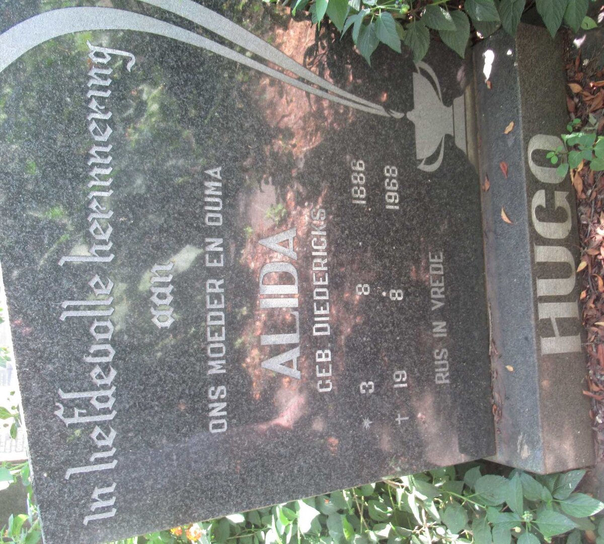 HUGO Alida nee DIEDERICKS 1886-1968