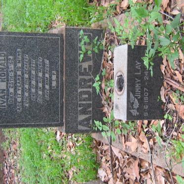 LAY Jimmy 1907-1973 :: ANDREWS Ivan Ronald -1952