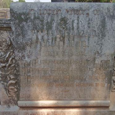 LEITE Marcia Sampaio Coutu -1954