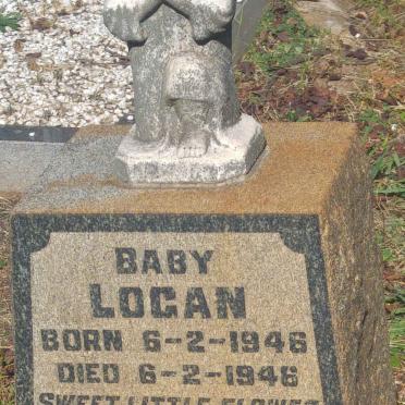 LOGAN Baby 1946-1946