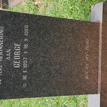 MATTHYSEN George 1937-1980