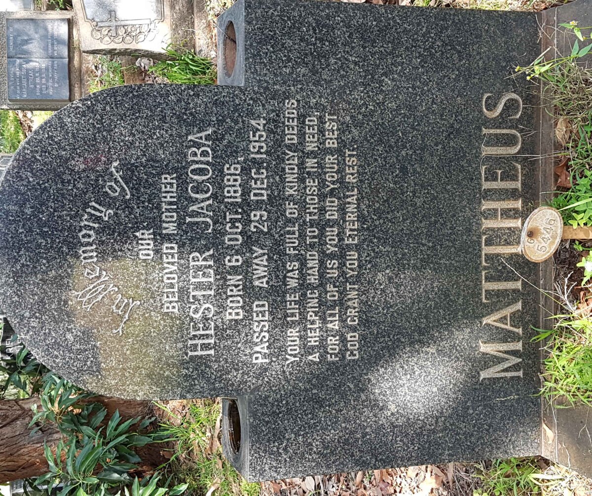 MATTHEUS Hester Jacoba 1886-1954