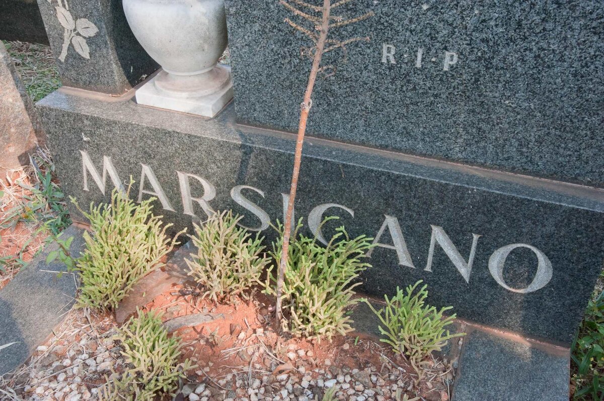 MARSICANO Fabrizio -1962