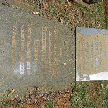 MILES Alice E. -1950 :: MILES Constance Alice 1899-1951