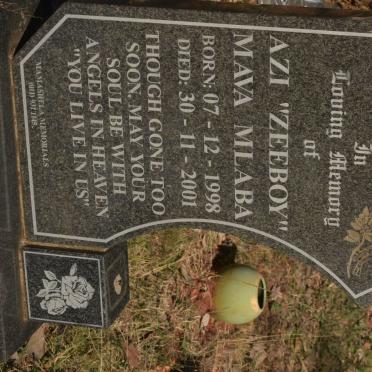 MLABA Azi Mava 1998-2001