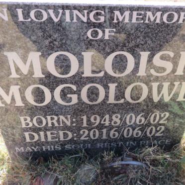 MOLOISI Mogolowe 1948-2016