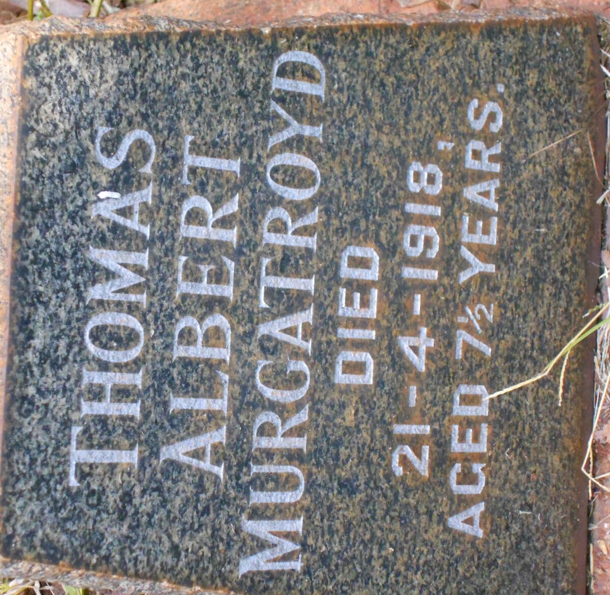 MURGATROYD Thomas Albert -1918