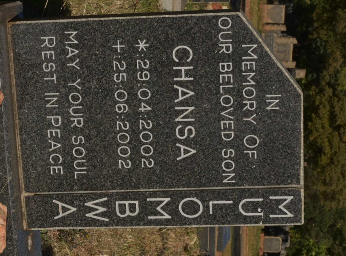 MULOMBWA Chansa 2002-2002