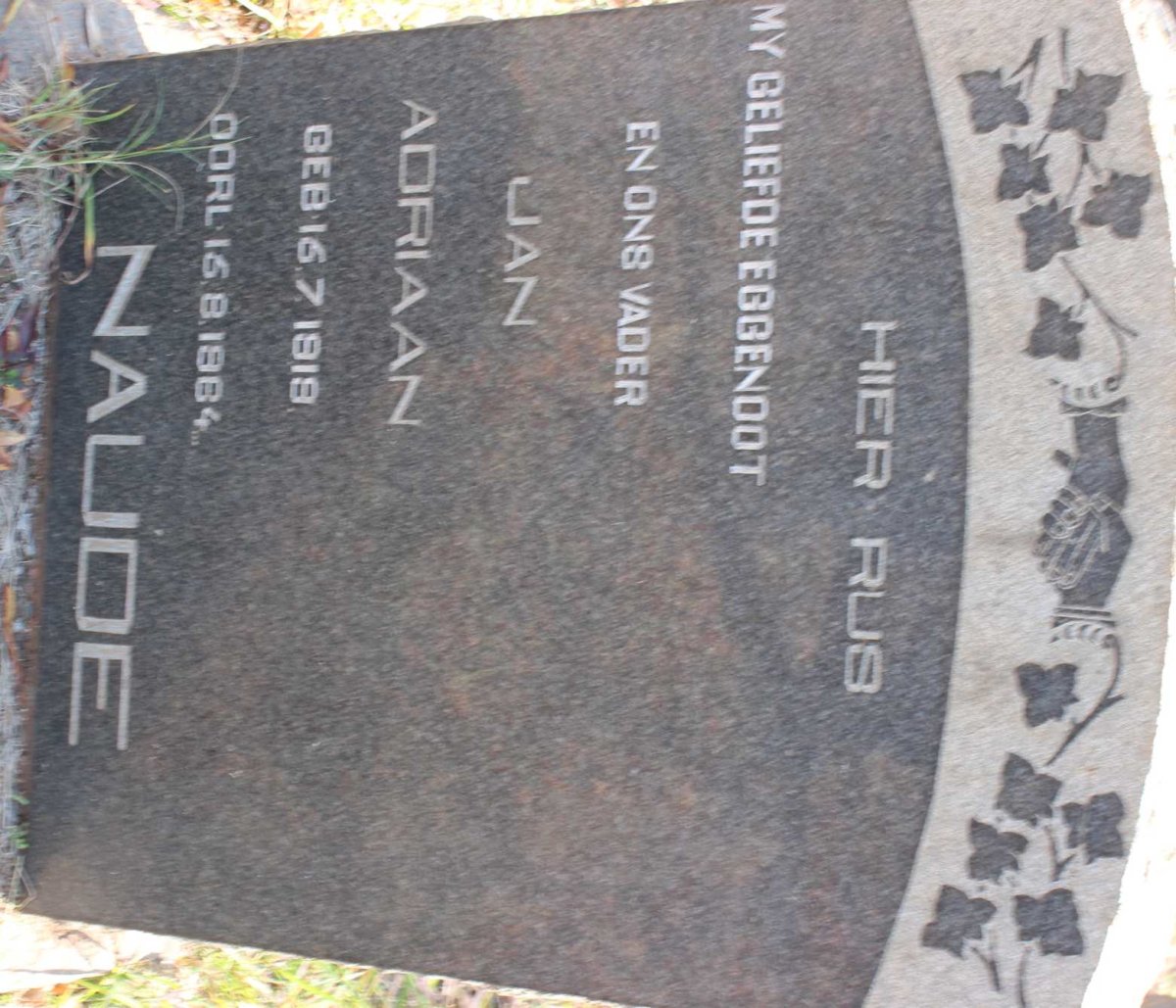 NAUDE Jan Adriaan 1919-1964