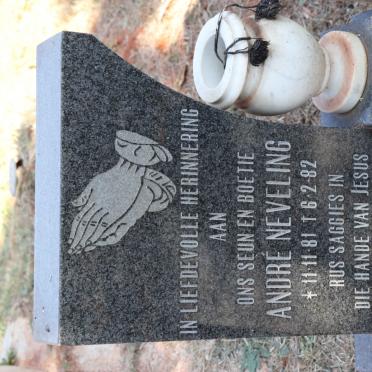 NEVELING Andre 1981-1982