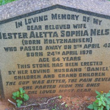 NELSON Hester Aletta Sophia nee HOLTZHARISEN 1878-1942