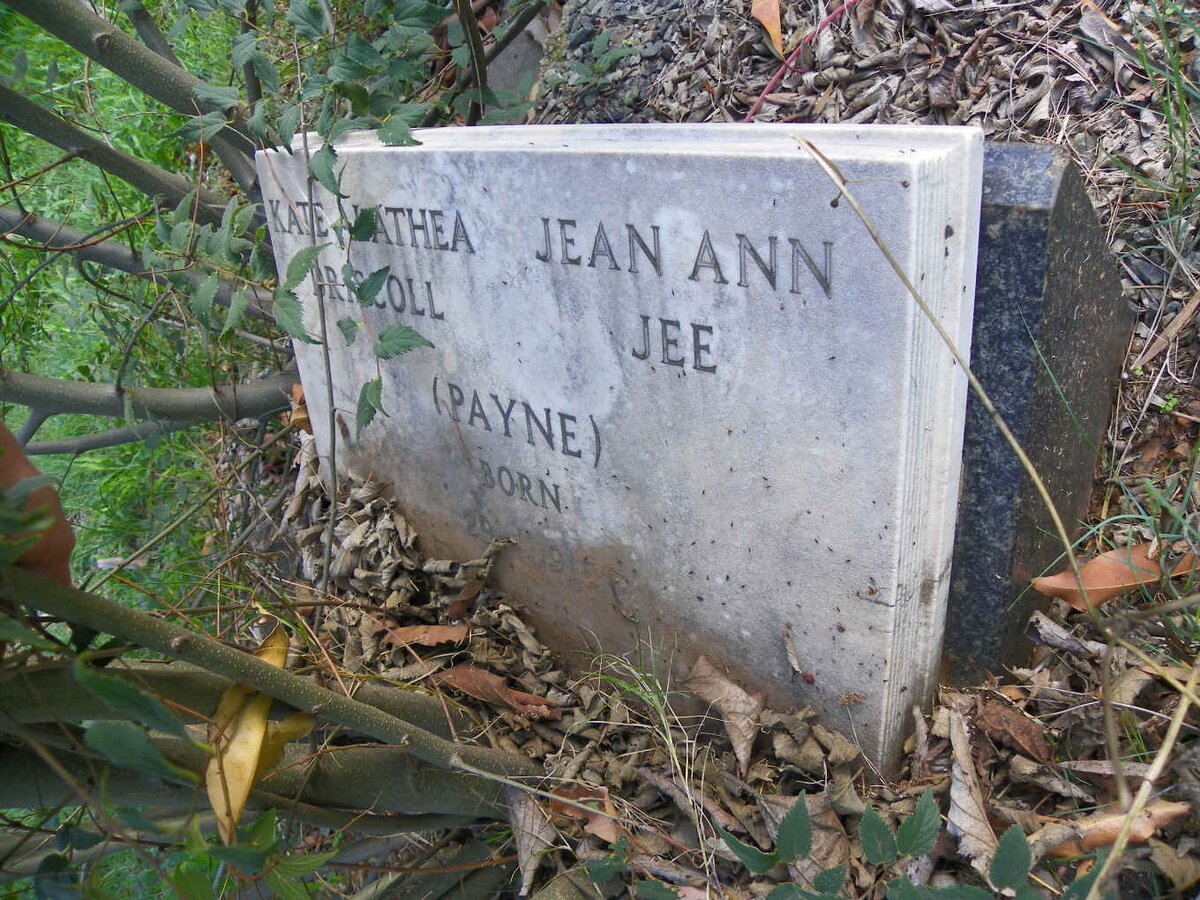 DRISCOLL Kate Alathea nee PAYNE :: JEE Jean Ann nee PAYNE