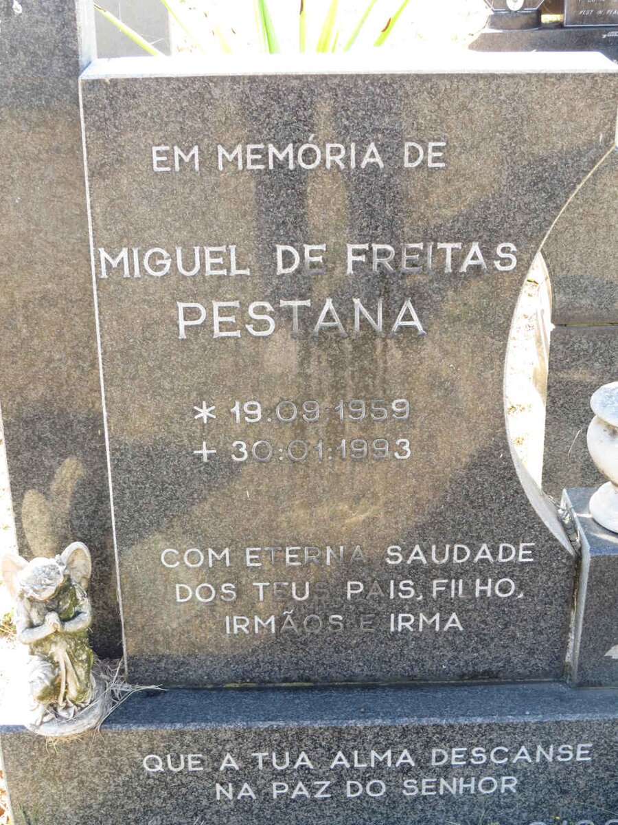 PESTANA Miguel de Freitas 1959-1993