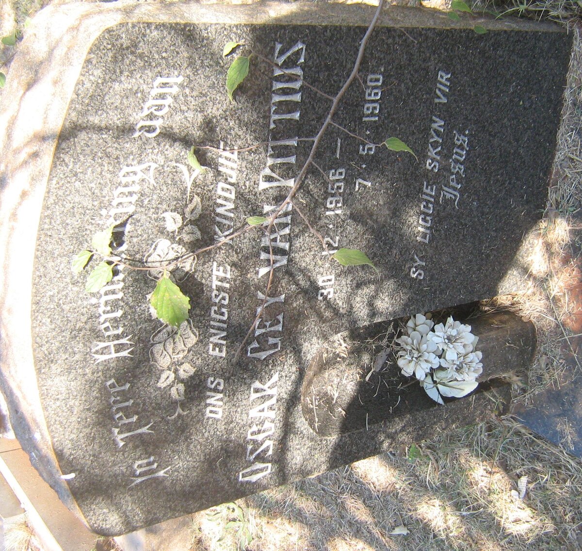 PITTIUS Oscar Gey, van 1956-1960