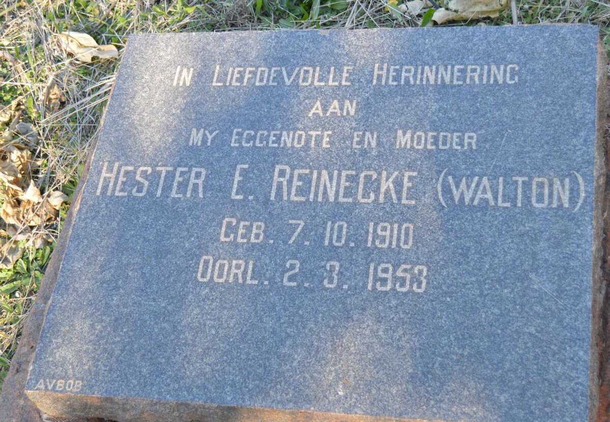 REINECKE Hester E. nee WALTON 1910-1953