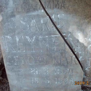 REYNEKE Steve 1929-1985 :: REYNEKE Sarie nee MARX 1960-1986