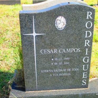 RODRIGUES Cesar Campos 1940-1991