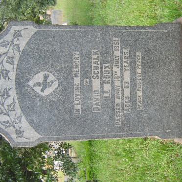 ROUX David Schalk, le -1951