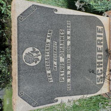 SCHOERIE Petrus Johannes 1897-1949