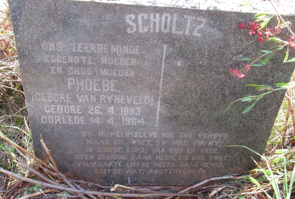 SCHOLTZ Phoebe nee VAN RYNEVELD 1893-1964