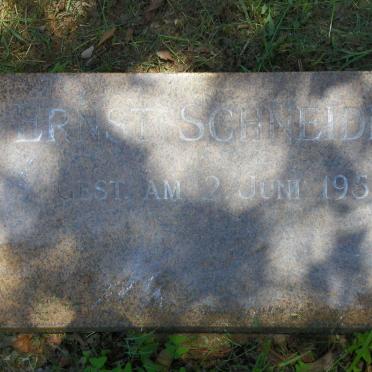 SCHNEIDER Ernst -1951