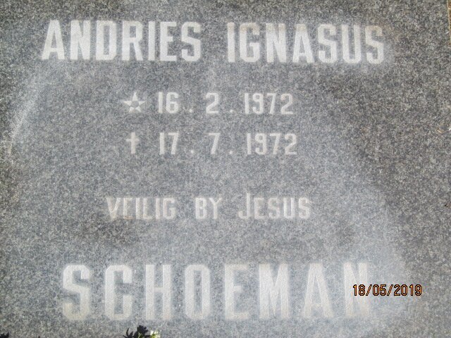SCHOEMAN Andries Ignasus 1972-1972