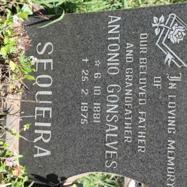 SEQUEIRA  Antonio Gonsalves 1881-1975