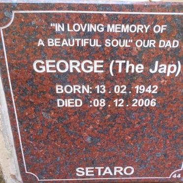 SETARO George 1942-2006