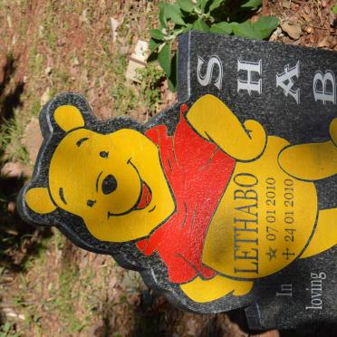 Sh - Surnames starting with the letters Sh