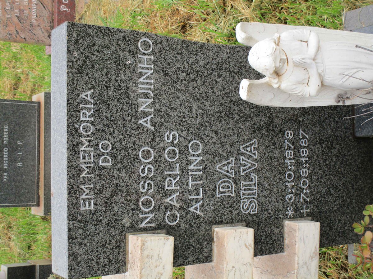 SILVA Nosso Anjinho Carlos Altino, da 1979-1987