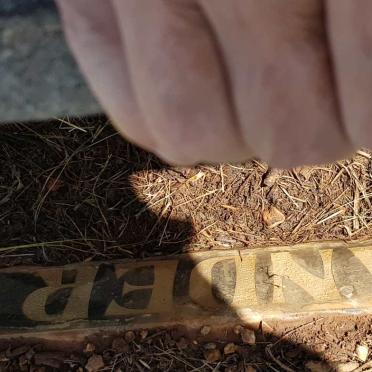 STANDER Suria 1964-1990