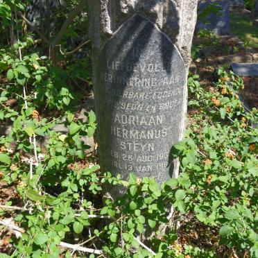 STEYN Adriaan Hermanus 1933-1960