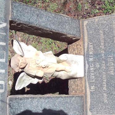 STEYN Andre 1943-1948