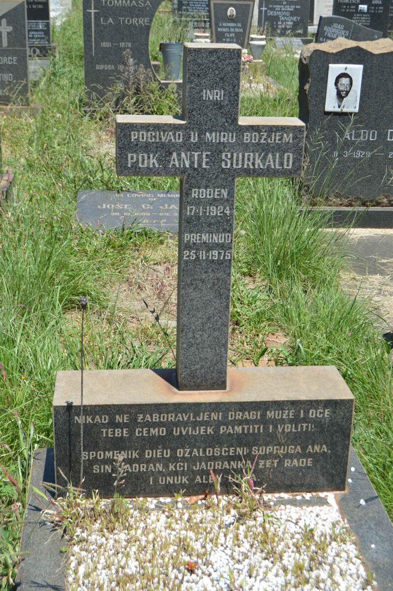 SURKALO Pok. Ante 1924-1975