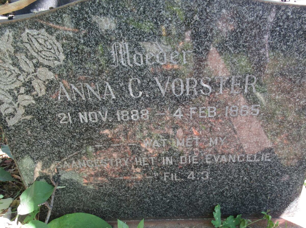 VORSTER Anna C. 1888-1965