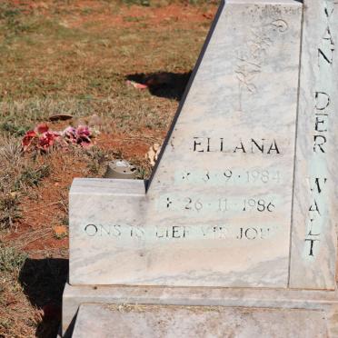 WALT Ellana, van der 1984-1986