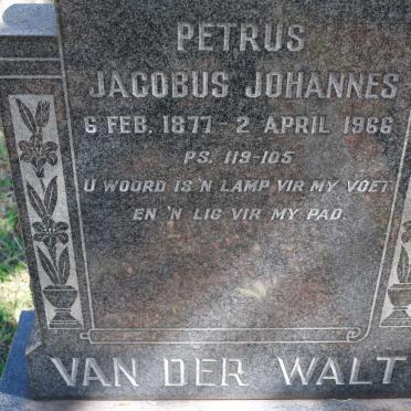 WALT Petrus Jacobus Johannes, van der 1877-1966