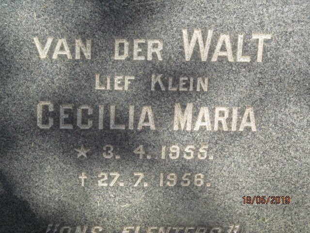 WALT Cecilia Maria, van der 1955-1956
