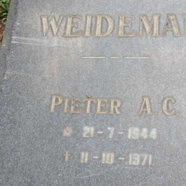 WEIDEMAN Pieter A.C. 1944-1971