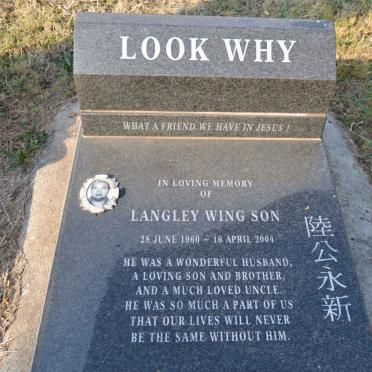 WHY Langley Wing Son, LOOK 1960-2004