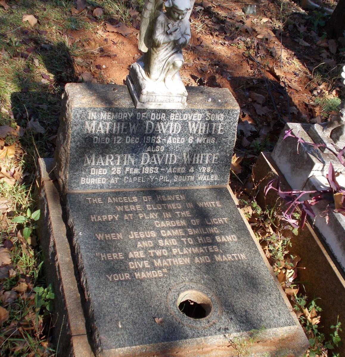 WHITE Martin David -1963 :: WHITE Mathew David 1963-1963