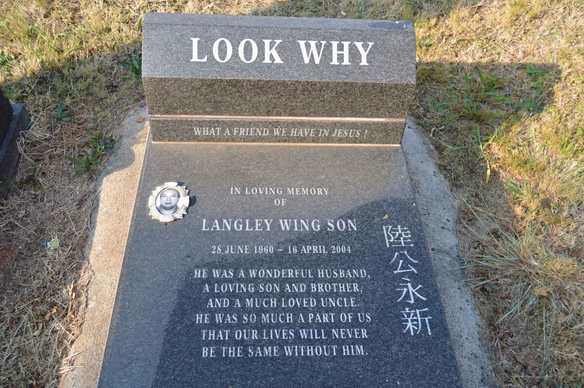 WHY Langley Wing Son, LOOK 1960-2004