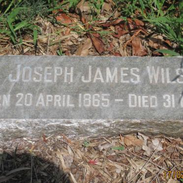 WILSON Joseph James 1865-1953
