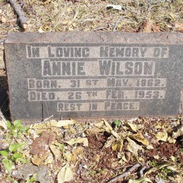 WILSON Annie 1862-1953