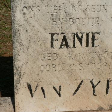 ZYL Fanie, van 1955-1956