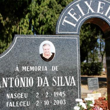 TEIXEIRA António da Silva 1945-2003