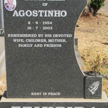 Te - Surnames starting with the letters Te