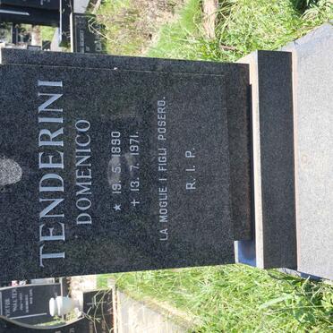 TENDERINI Domenico 1890-1971 &amp; Anna 1896-1988