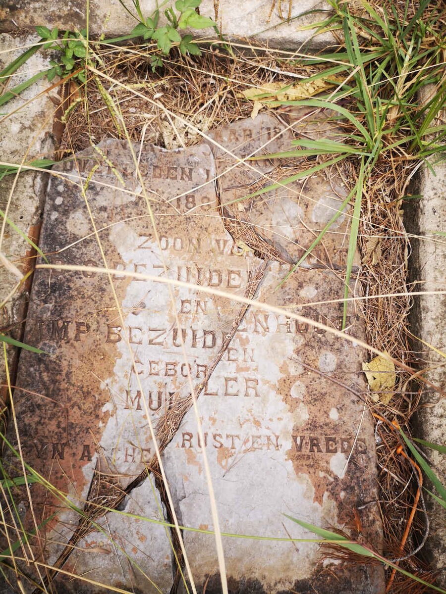 BEZUIDENHOUT F.J. 1879-1881 _2